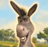 DONKEY