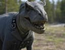 REXLER
