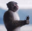 clicking