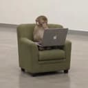 apeonmac