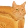 LOAF