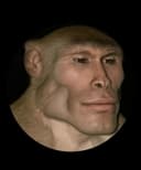 GIGAMONK