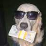 CASHDOG