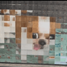 pixpup