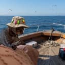 CATFISHER