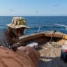 CATFISHER