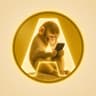 apecoin