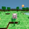 PIGBLOCK