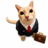 MEOWCEO