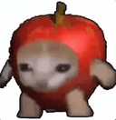 Applecat