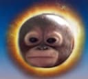 APEVERYTHING
