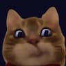 KITTY