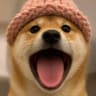 pdwh