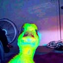 QUACK