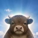 bullieve