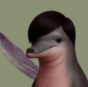 dolf