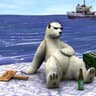 CBear