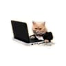TradingCat
