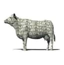 CASHCOW