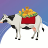 CASHCOW
