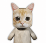 Choty