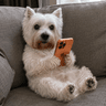 FONE