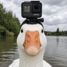 goosepro