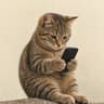catonfone