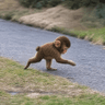Apemothy