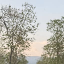 deep94