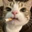 fattychrisCG