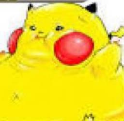 haloooox