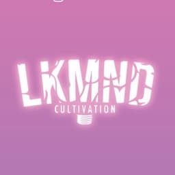 lkmnd