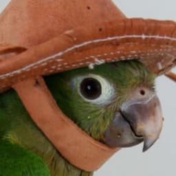 k0b3