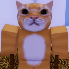 sendmycat