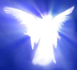 angelinvestor