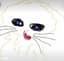 SADCAT61