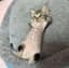moneymc