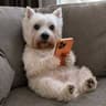 fone