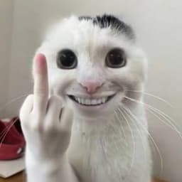 mnle