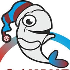 hamsi61