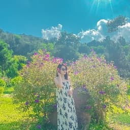 LP6868