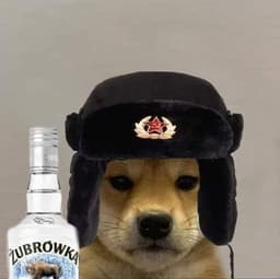 showmedaway