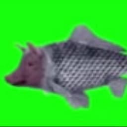 pigfishbro