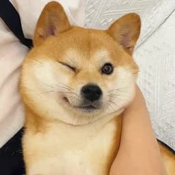 Kundesu