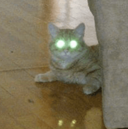 Deathcatt