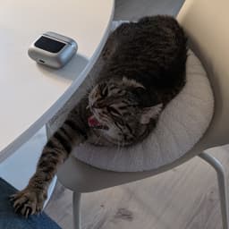 Needadollar